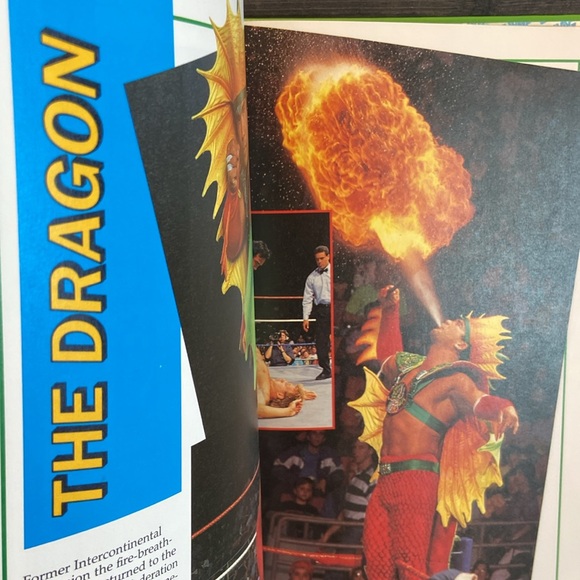 Vintage 1991 WWF Superstars of Wrestling Hard Cover Book Hulk Hogan Cover - Picture 11 of 11